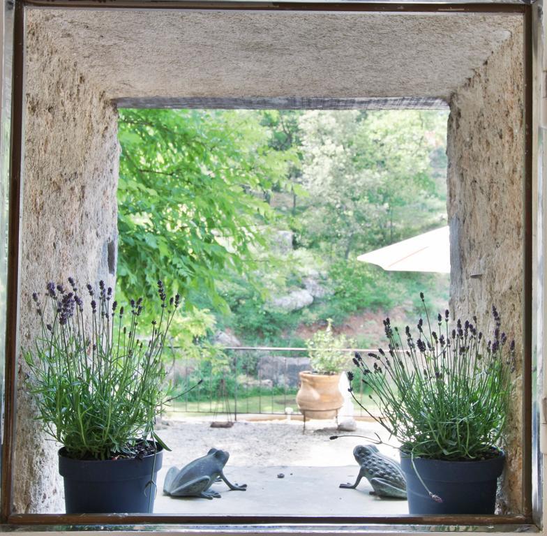 Bed and Breakfast Le Moulin En Provence Saint-Antonin-sur-Bayon Exterior foto
